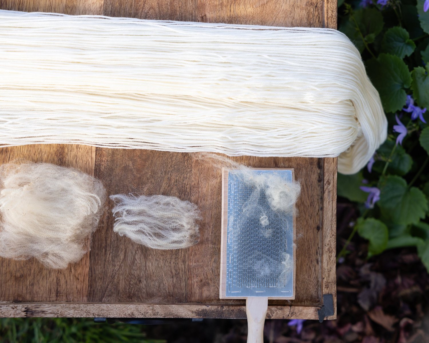Unwound skein of undyed yarn with representative samples of the fiber contained in the yarn: merino wool. A wool carding brush is also shown.