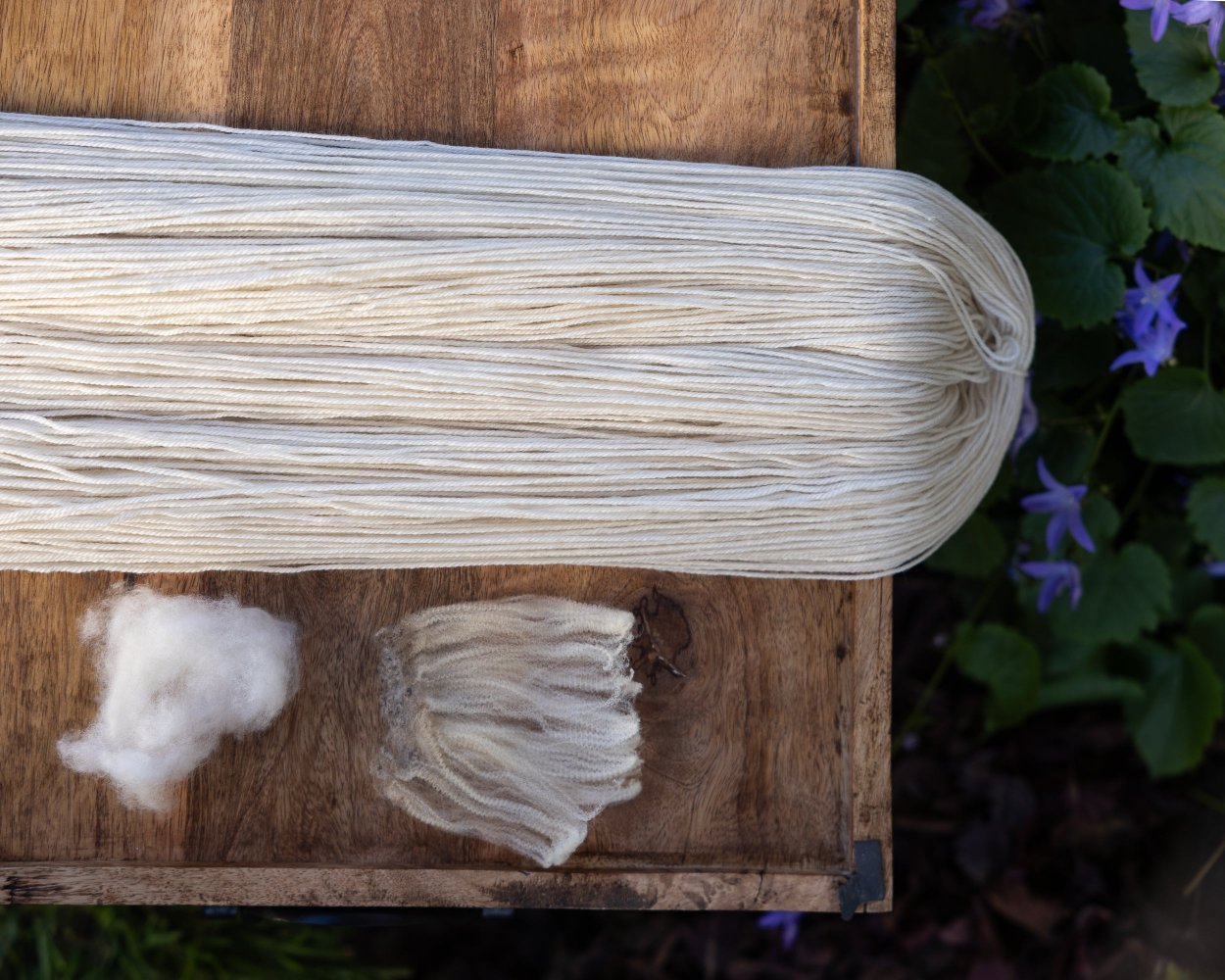 Unwound skein of yarn with representative samples of the fiber contained in the yarn: cashmere and merino wool