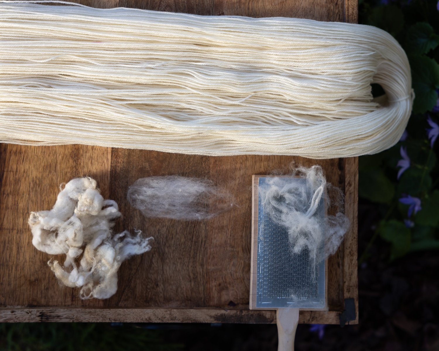 Unwound skein of undyed yarn with representative samples of the fiber contained in the yarn: targhee wool. A wool carding brush is also shown.