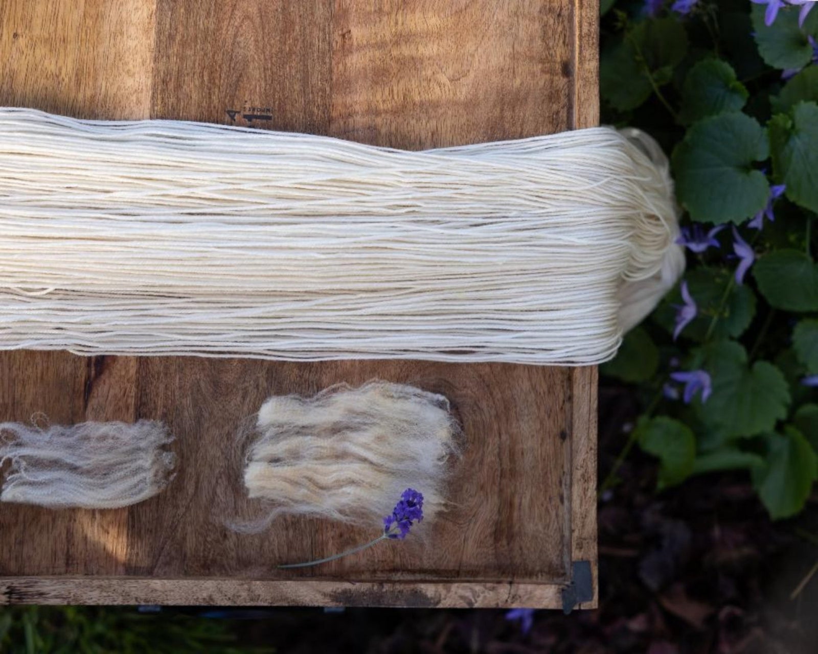 Unwound skein of undyed yarn and representative samples of the fiber contained in the yarn: merino and rambouillet wool