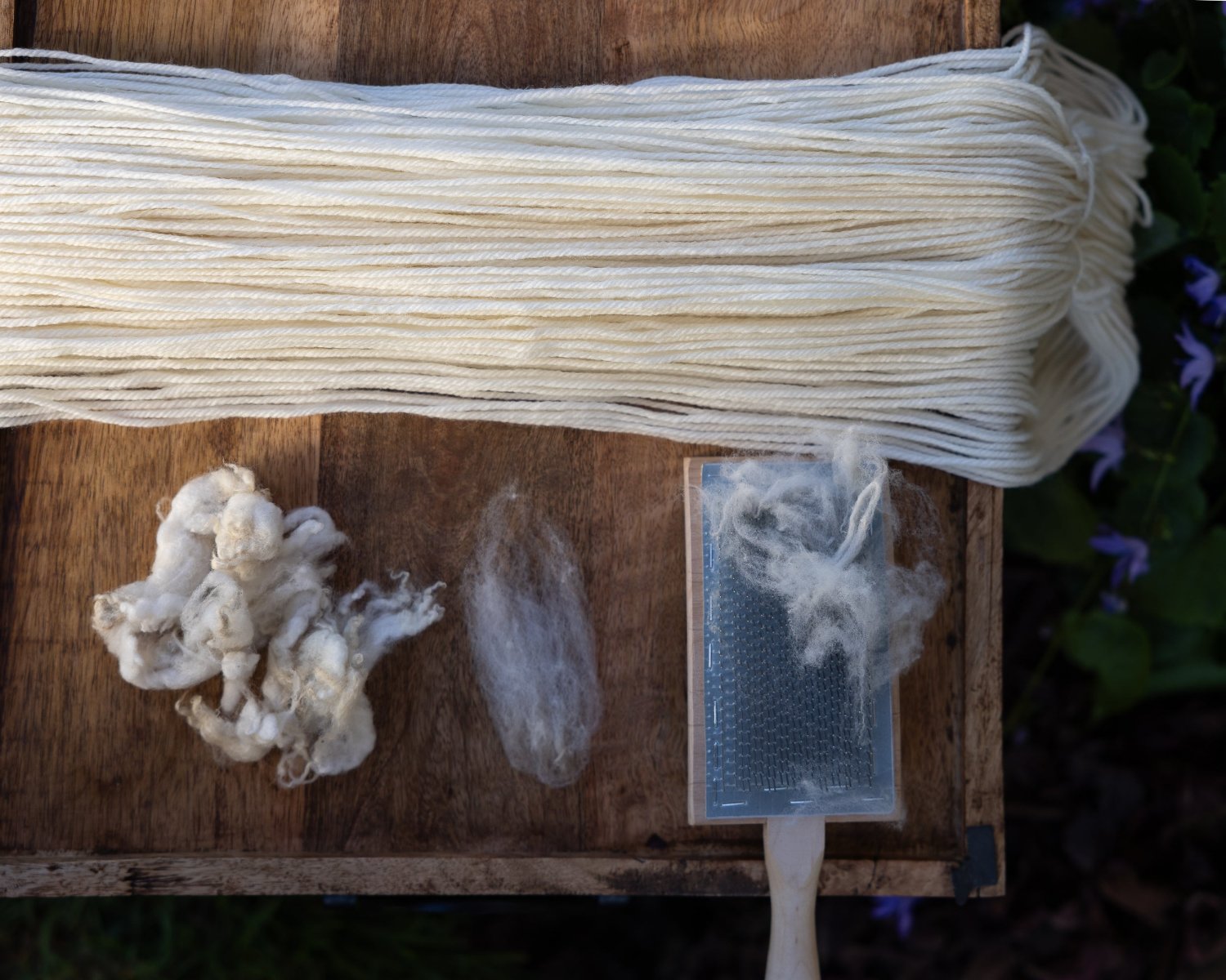 Unwound skein of undyed yarn and representative samples of the fiber contained in the yarn: Targhee wool. A carding brush is also shown.