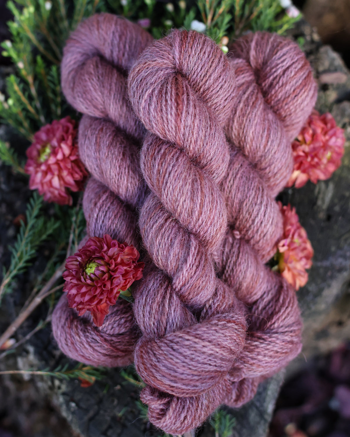 Devon | a fingering weight John Arbon x Little Skein special