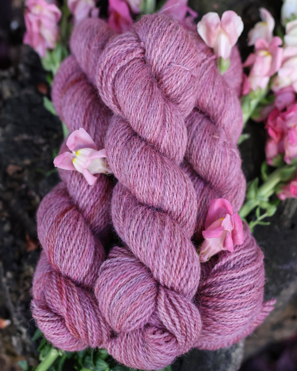 Devon | a fingering weight John Arbon x Little Skein special