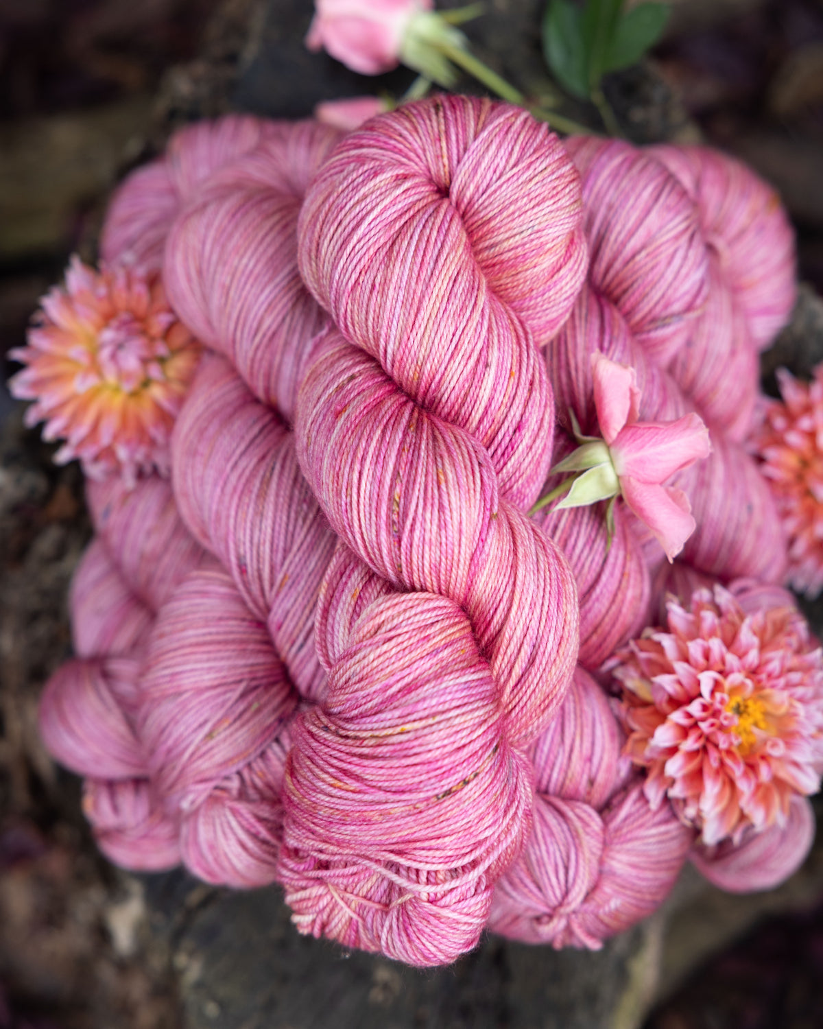 Cashmere Blend | Beguiled