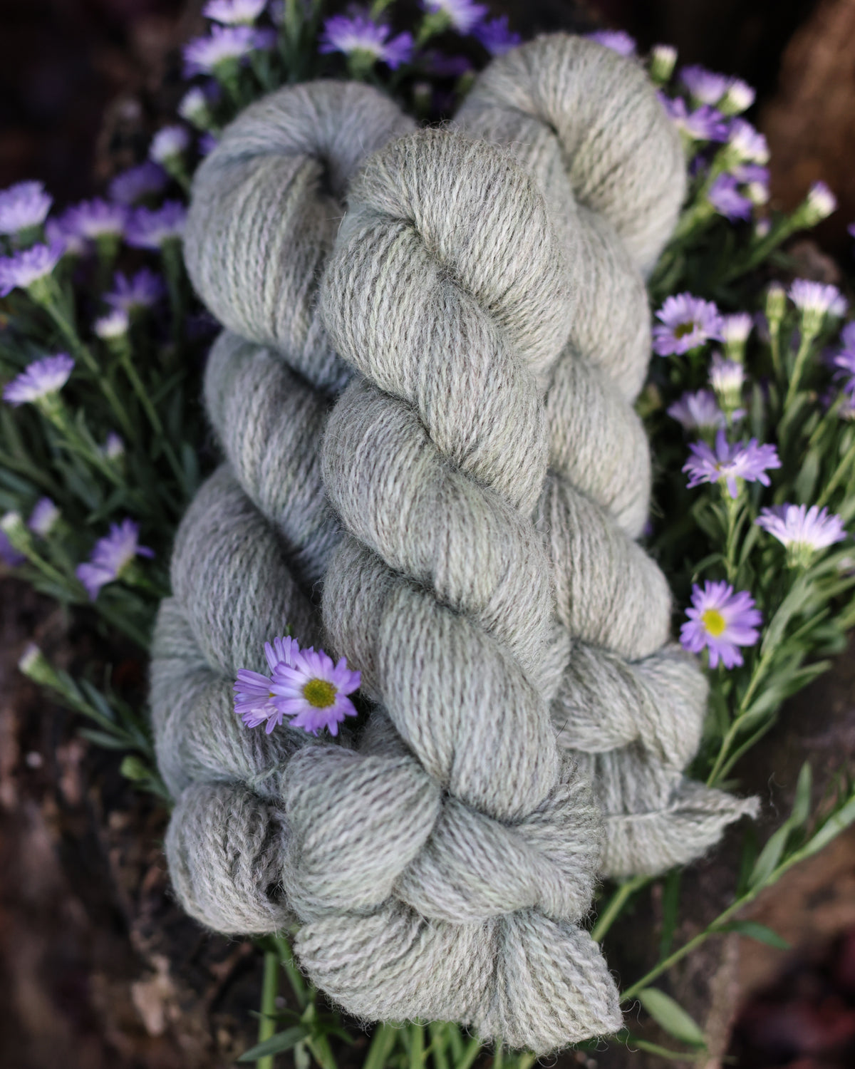 Devon | a fingering weight John Arbon x Little Skein special