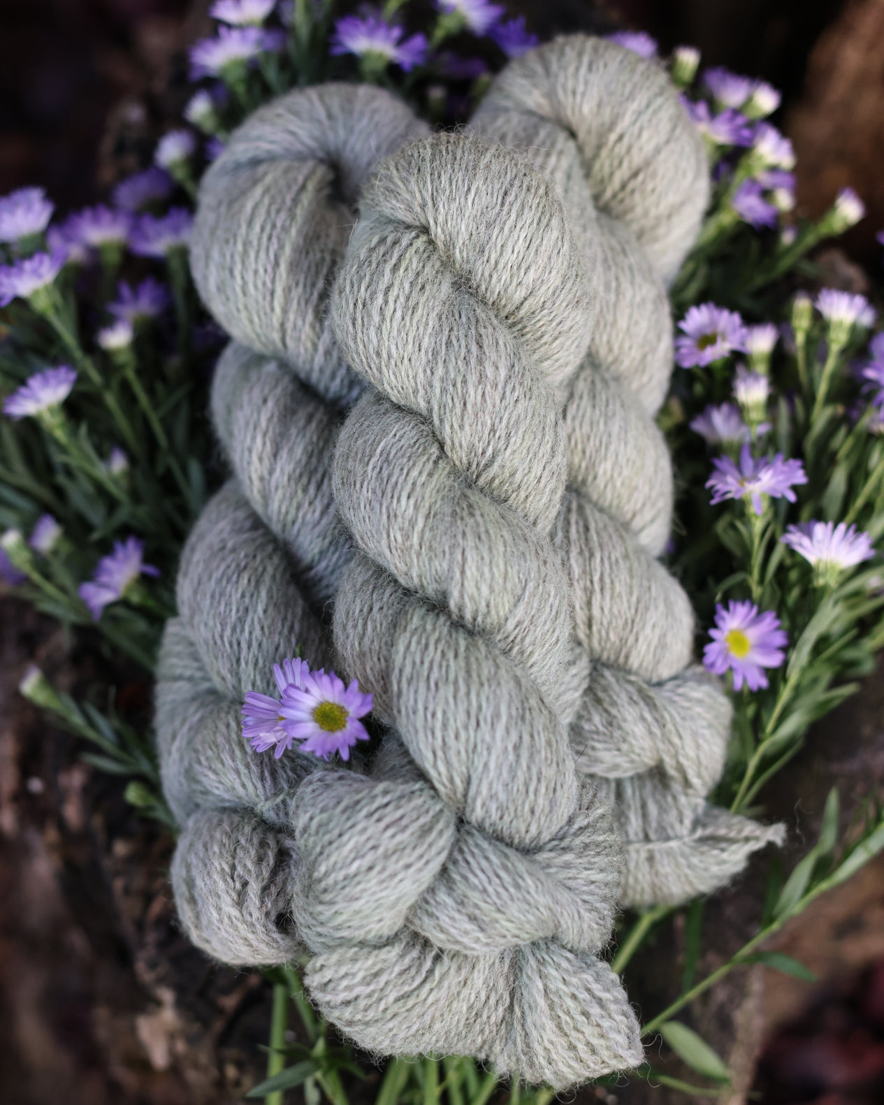 Devon | a fingering weight John Arbon x Little Skein special