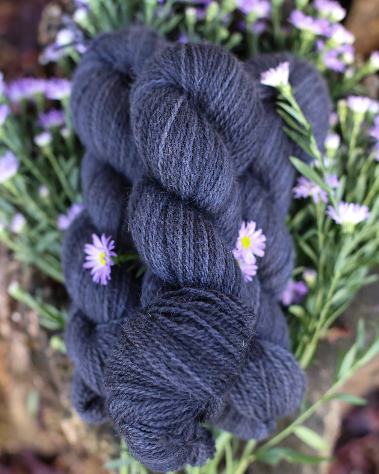 Devon | a fingering weight John Arbon x Little Skein special