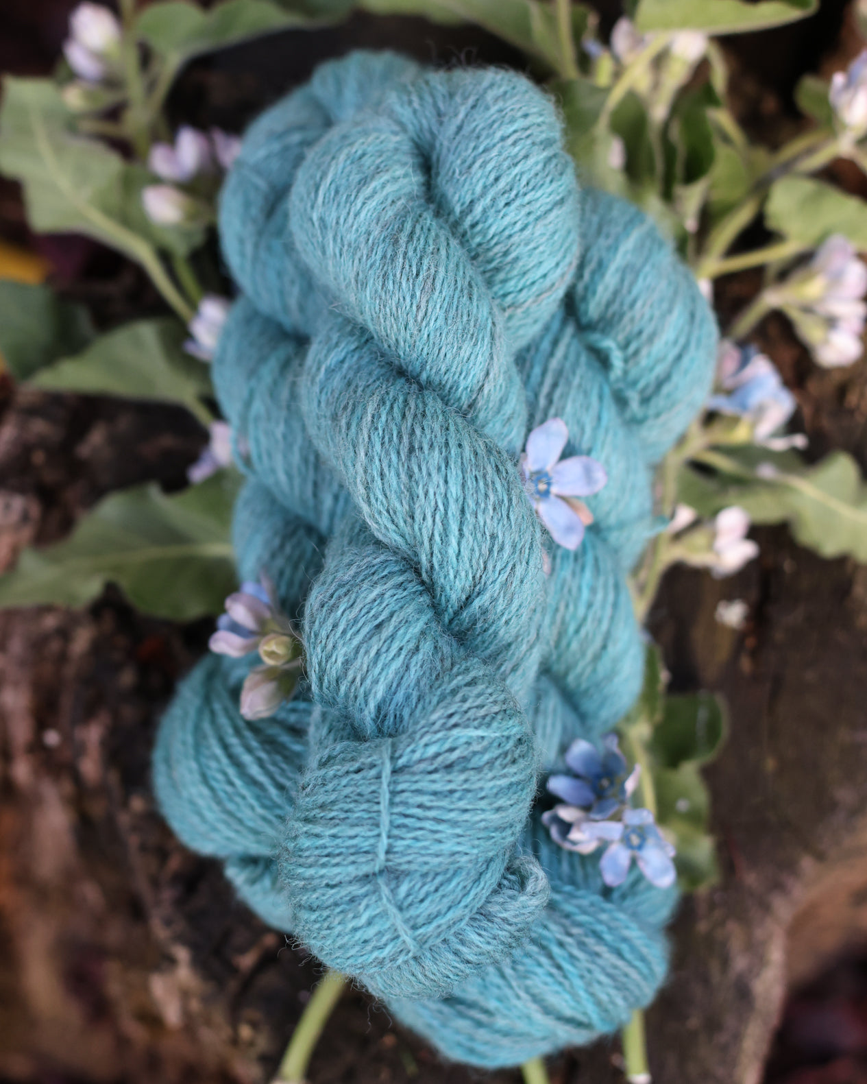 Devon | a fingering weight John Arbon x Little Skein special