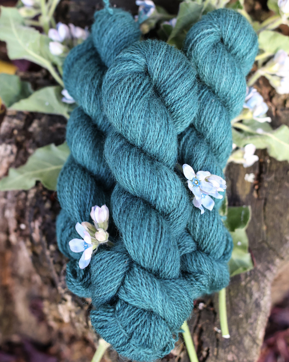 Devon | a fingering weight John Arbon x Little Skein special