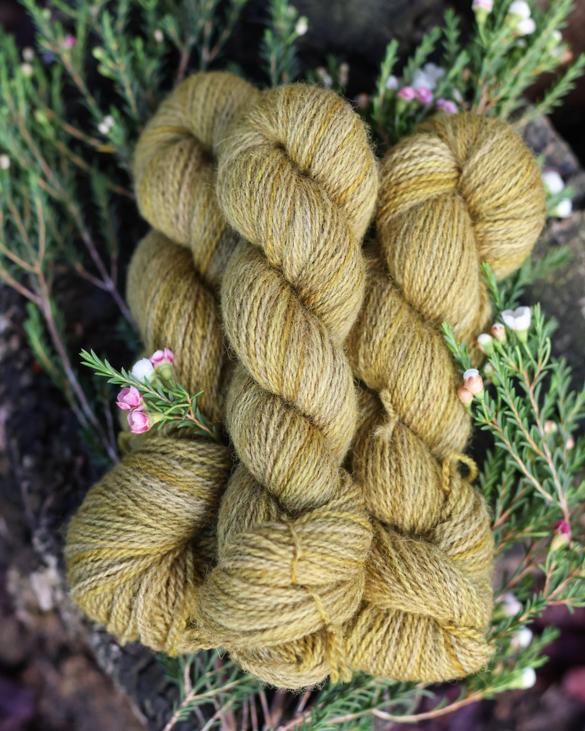Devon | a fingering weight John Arbon x Little Skein special