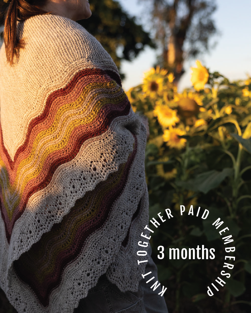 Tidal Creek sweater kit | all sizes, one price