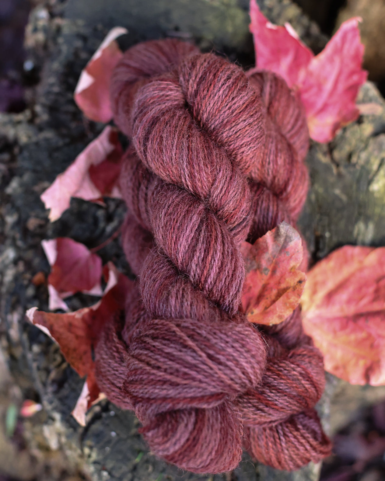 Devon | a fingering weight John Arbon x Little Skein special