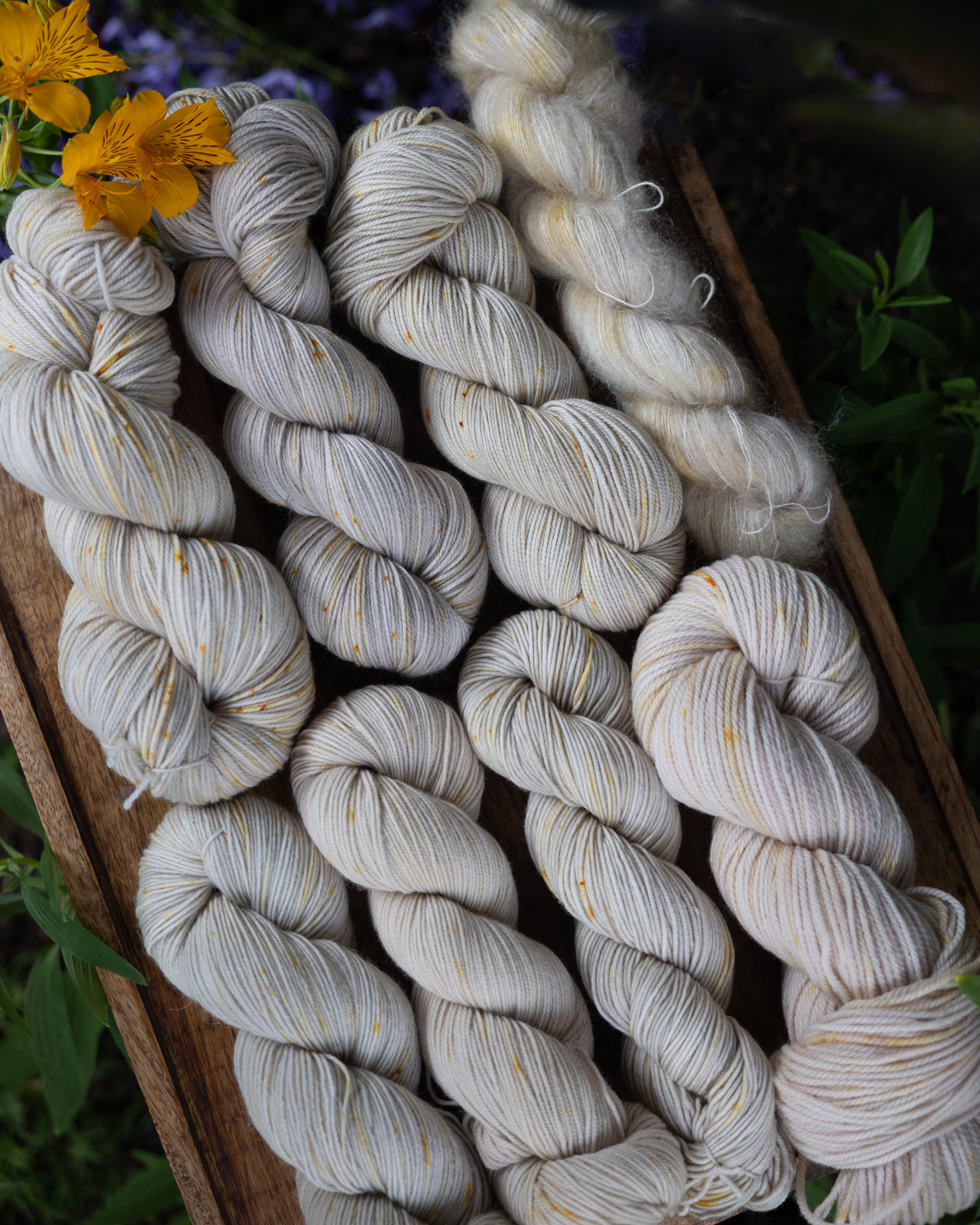 8 skeins of yarn, all dyed the same color, but on 8 different bases to show color variations