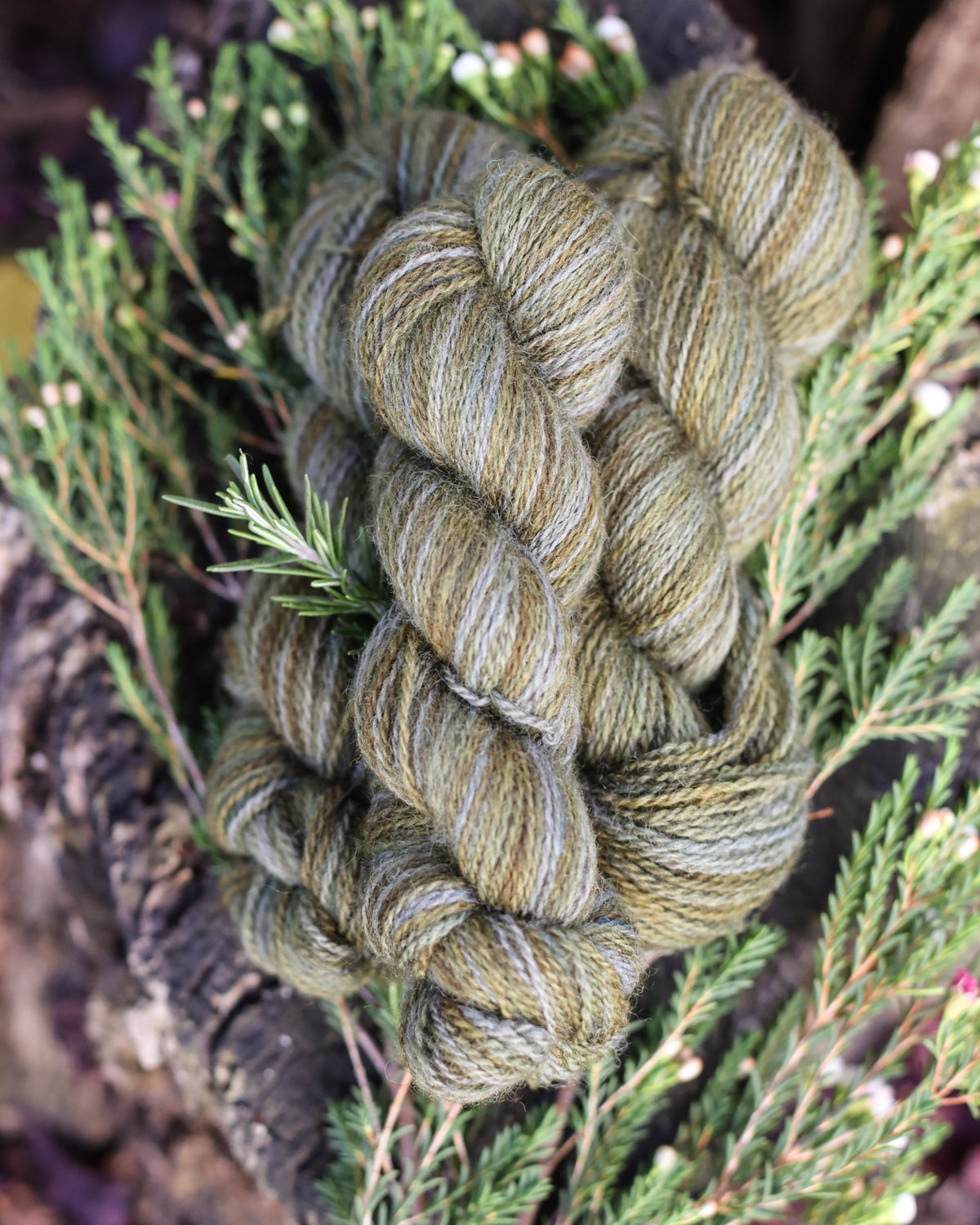 Devon | a fingering weight John Arbon x Little Skein special
