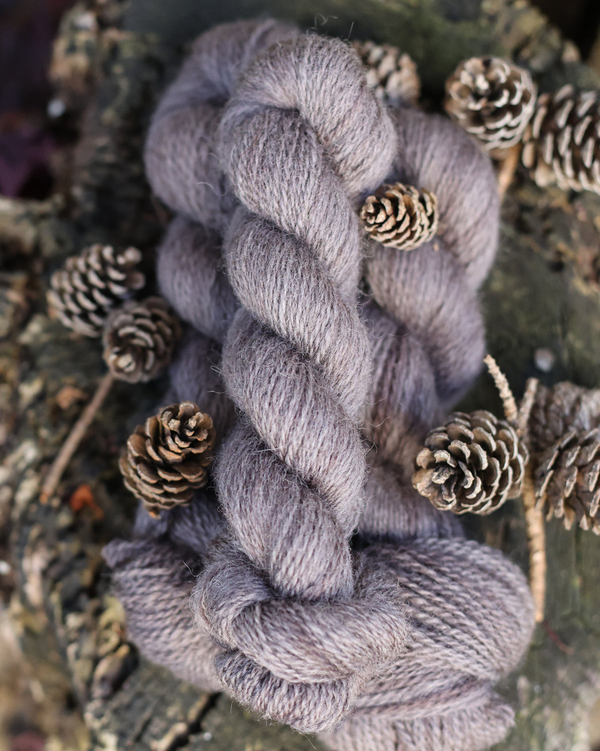 Devon | a fingering weight John Arbon x Little Skein special