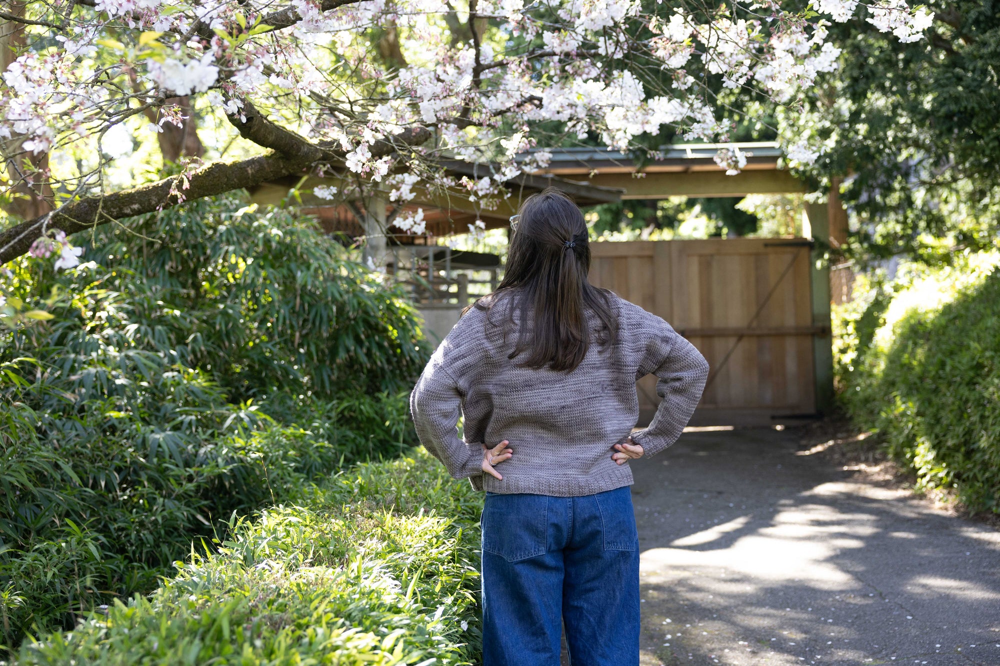 Warbler Sweater | yarn + pattern PREORDER