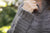 Warbler Sweater | yarn + pattern PREORDER