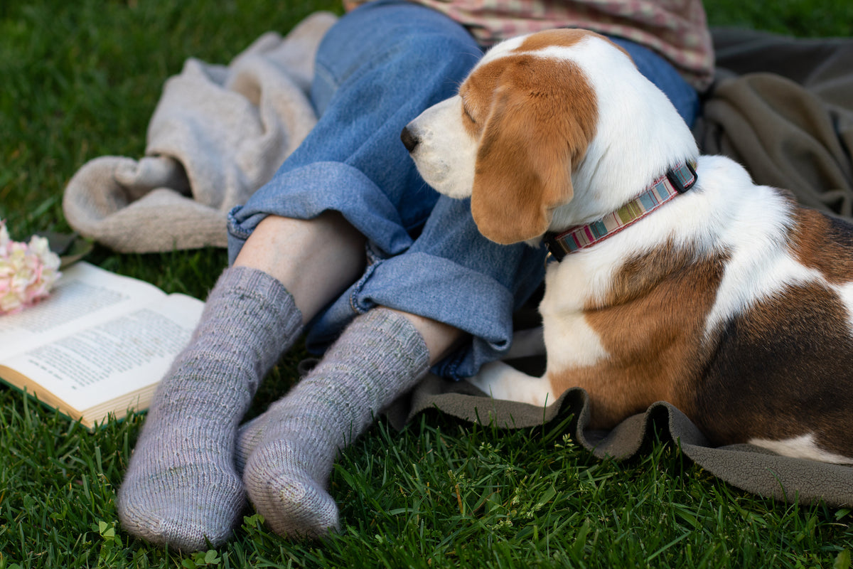 Garden Sprinkles sock pattern